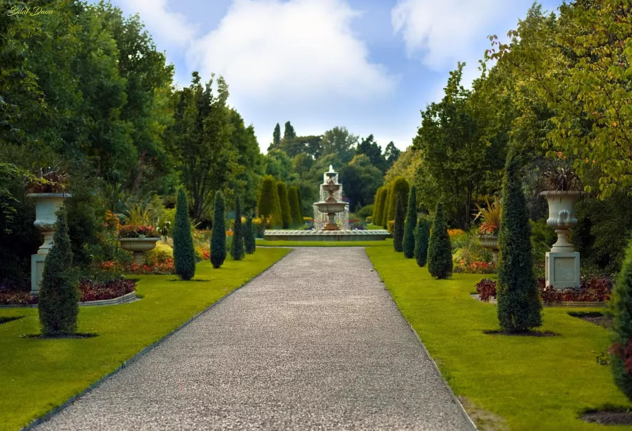 Jardín Real de Regent's Park