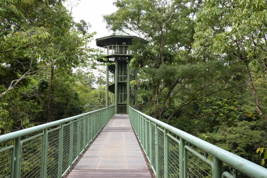 Centro de Descubrimiento de la Selva Tropical, Sepilok