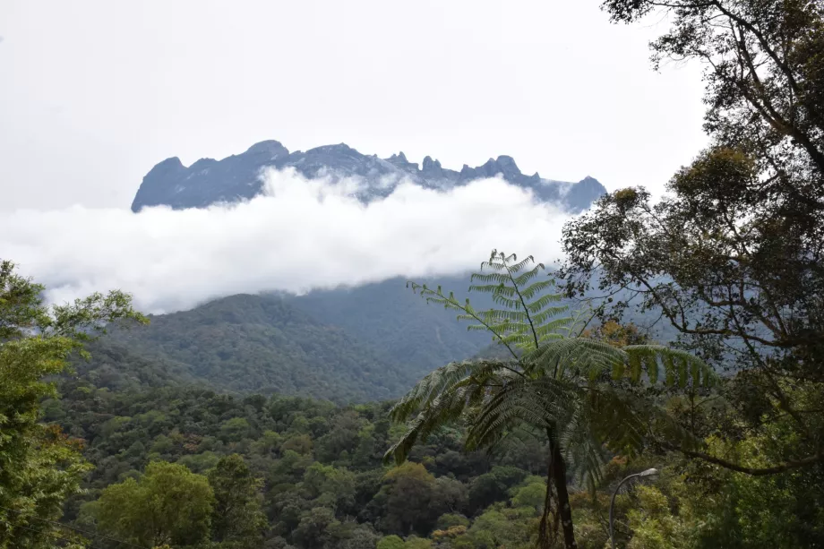 Monte Kinabalu, Sabah, Borneo