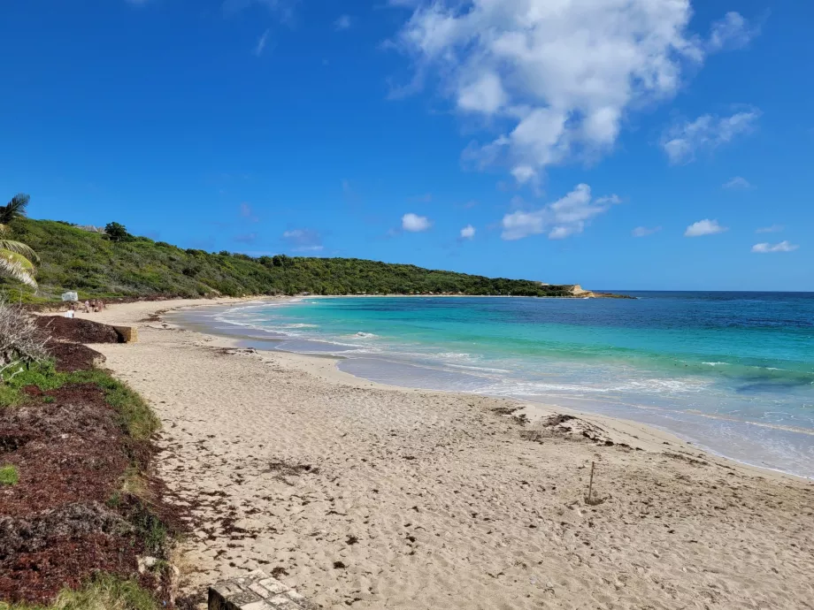 Bahía de la Media Luna