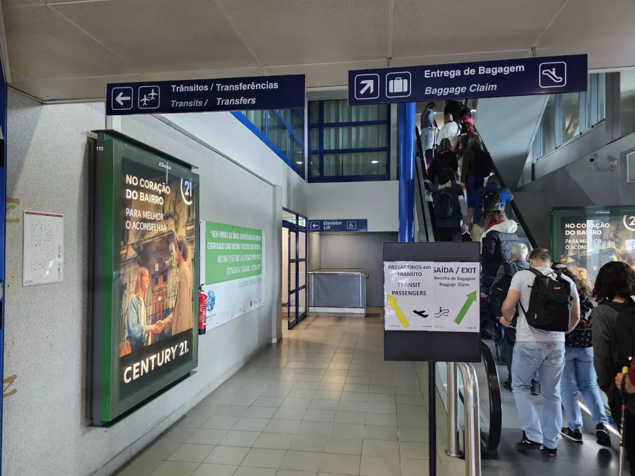 Tránsito Aeropuerto Horta