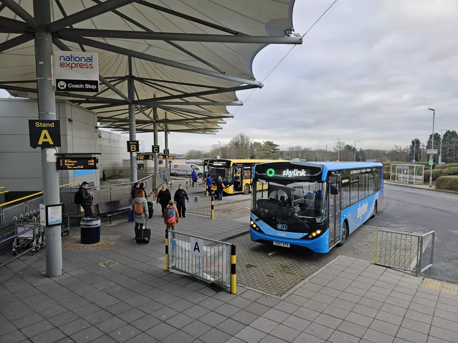 Bus stops, arrivals hall