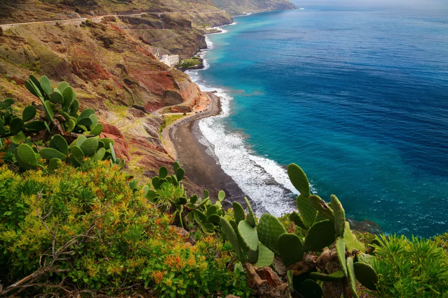 Playa de Gaviotas