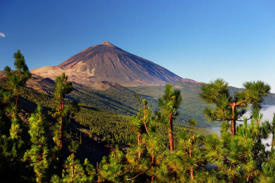 Pico del Teide