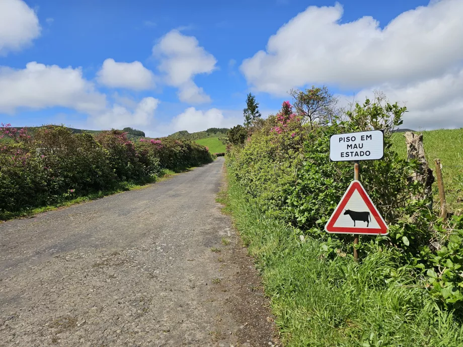 Señales en las carreteras de la isla de Flores