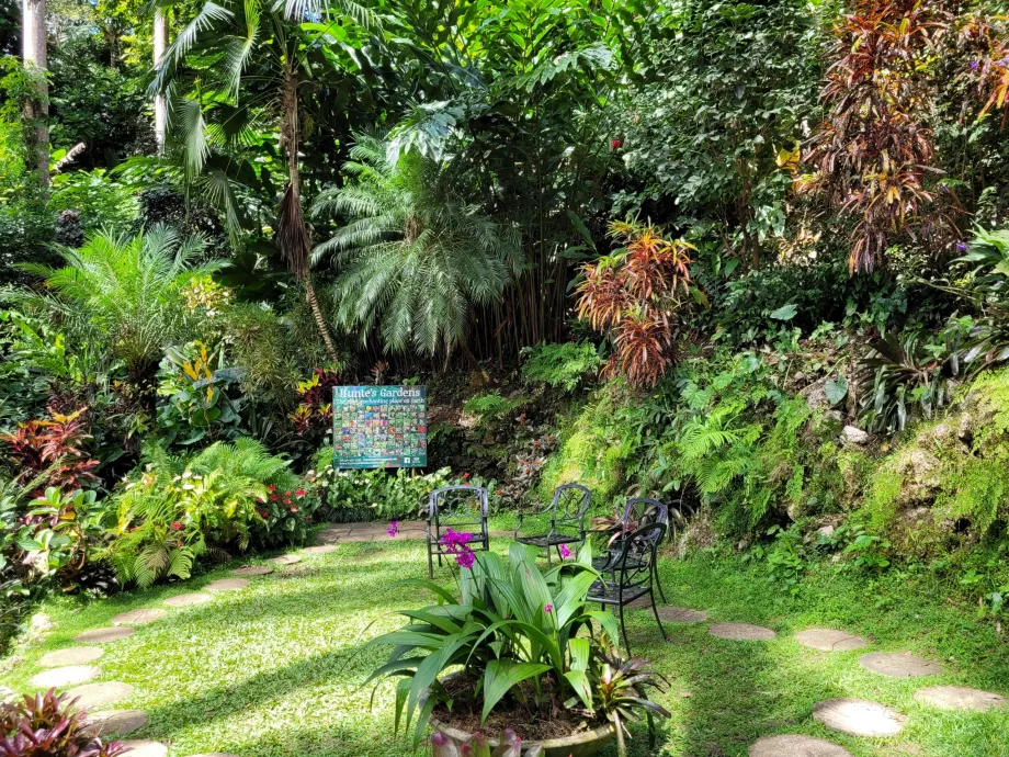 Jardines de Hunte