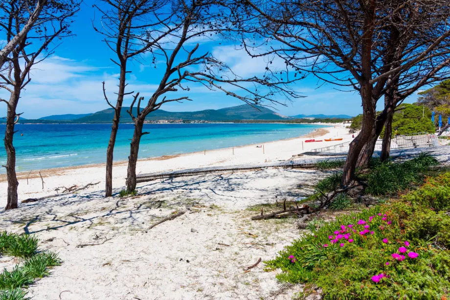 Playas de Alghero