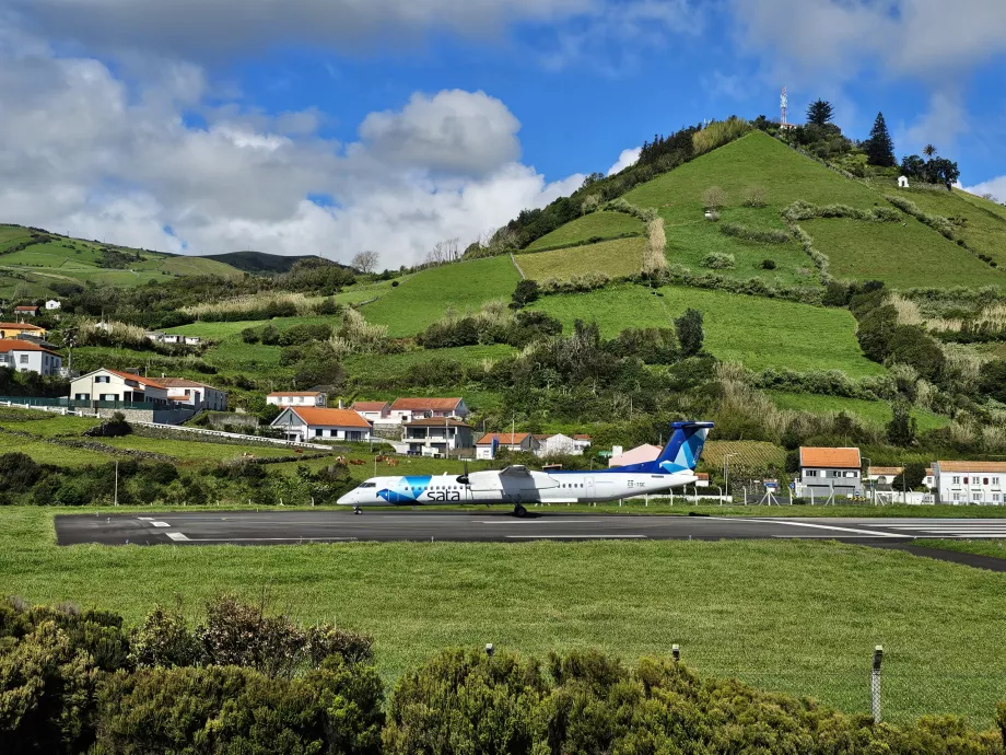 Avistamiento en Santa Cruz das Flores