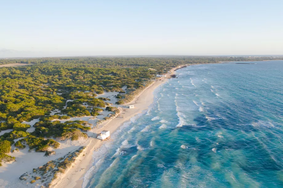 Playa de Es Trenc