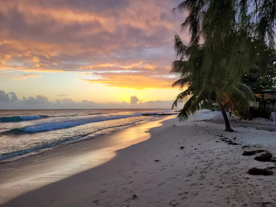 Paseo marítimo Richard Haynes