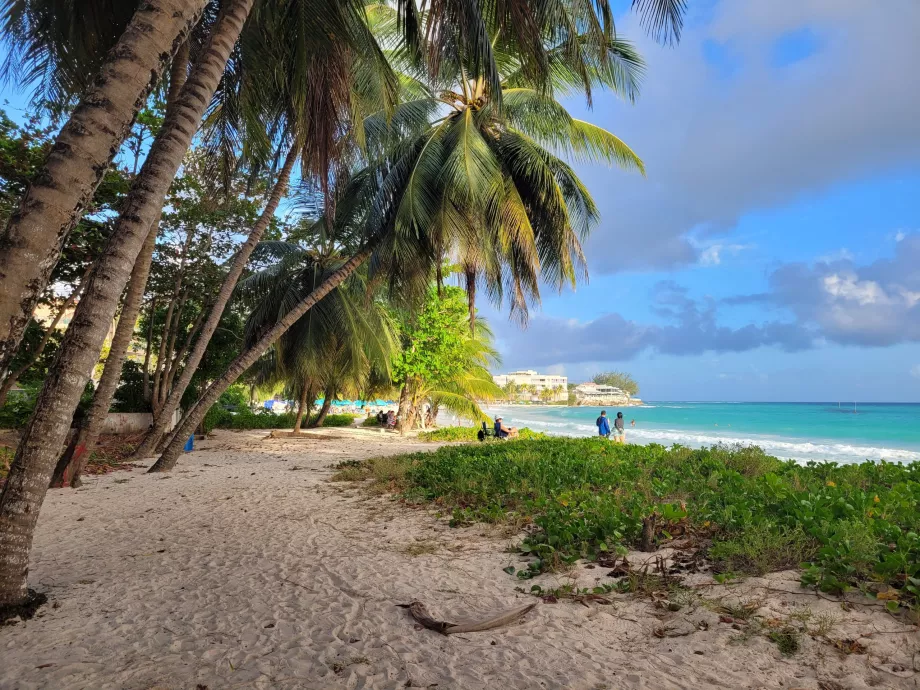 Playa de Rockley