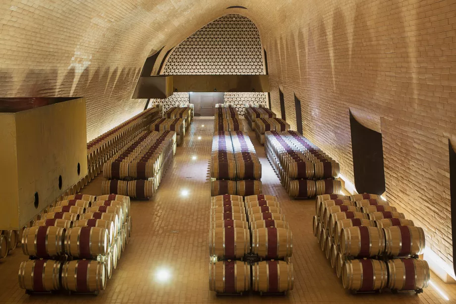 Bodega Antinori