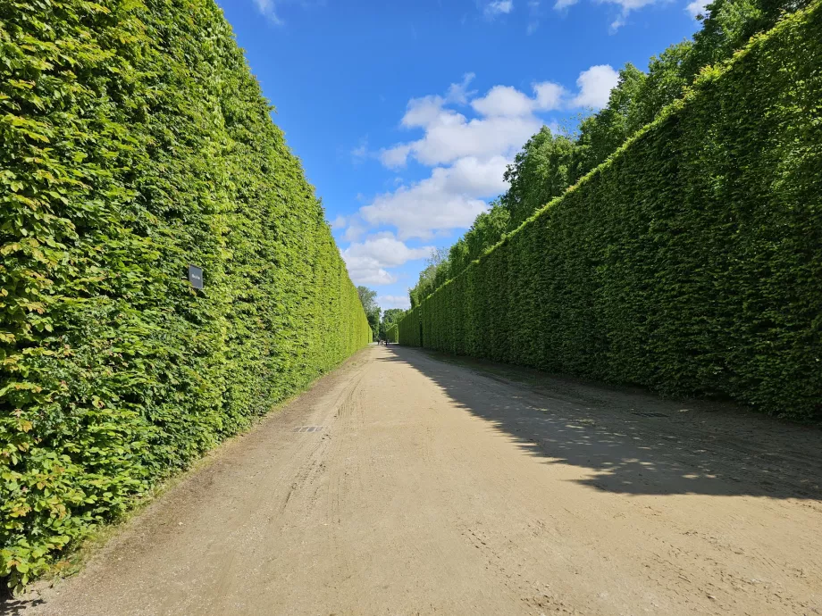 Jardines de Versalles