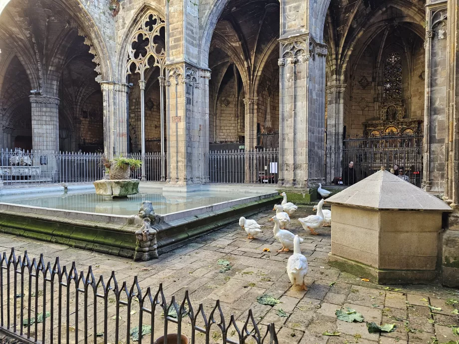 Catedral de Barcelona, Patio