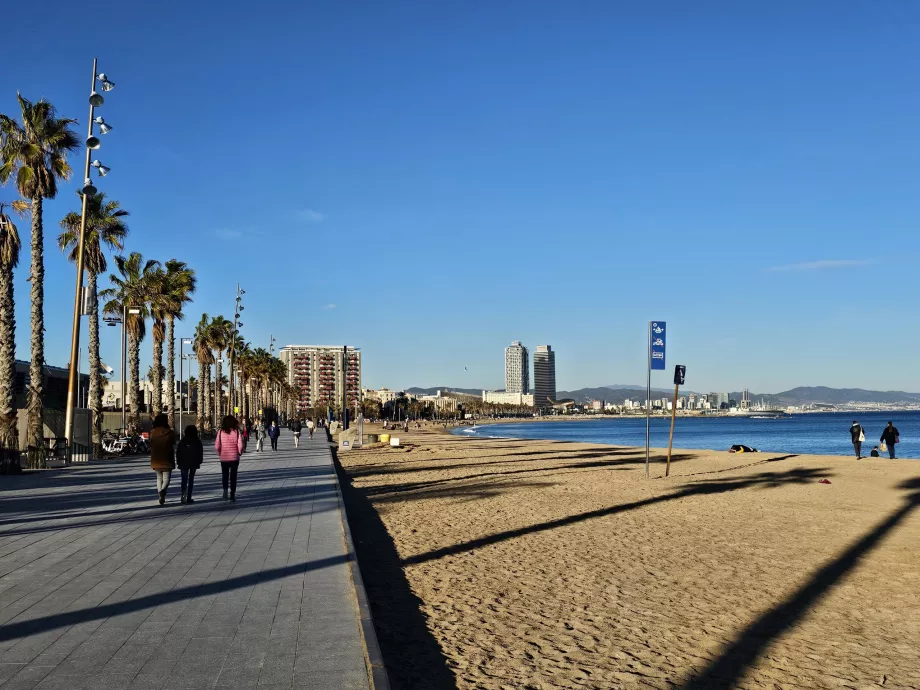 Playa de la Barceloneta