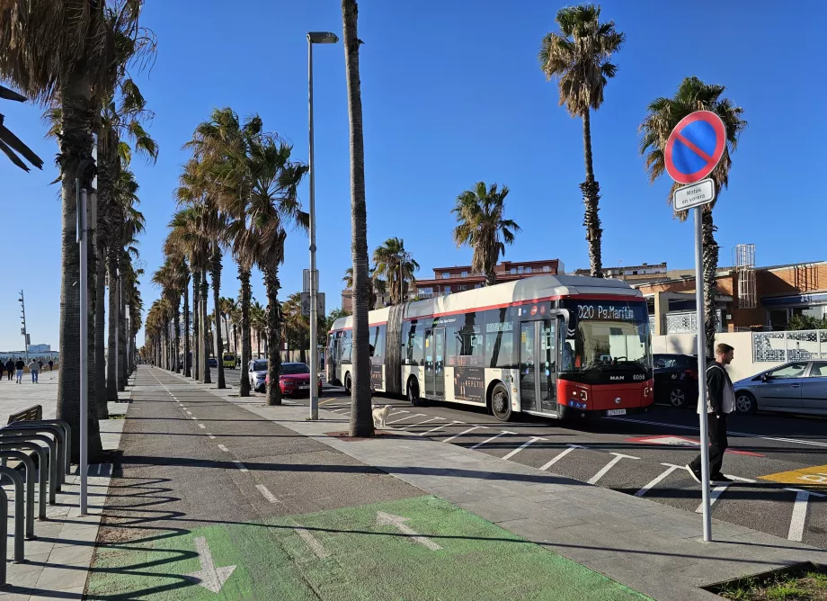 Autobuses en Barcelona