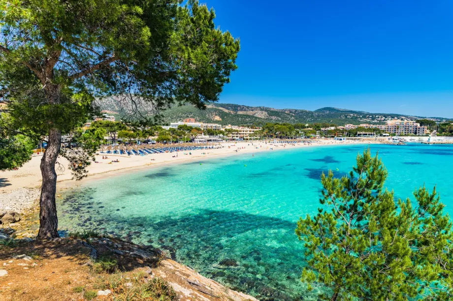 Playa de Palmanova