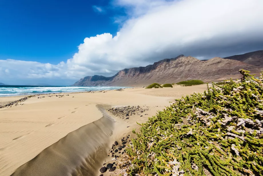 Playa de Famara