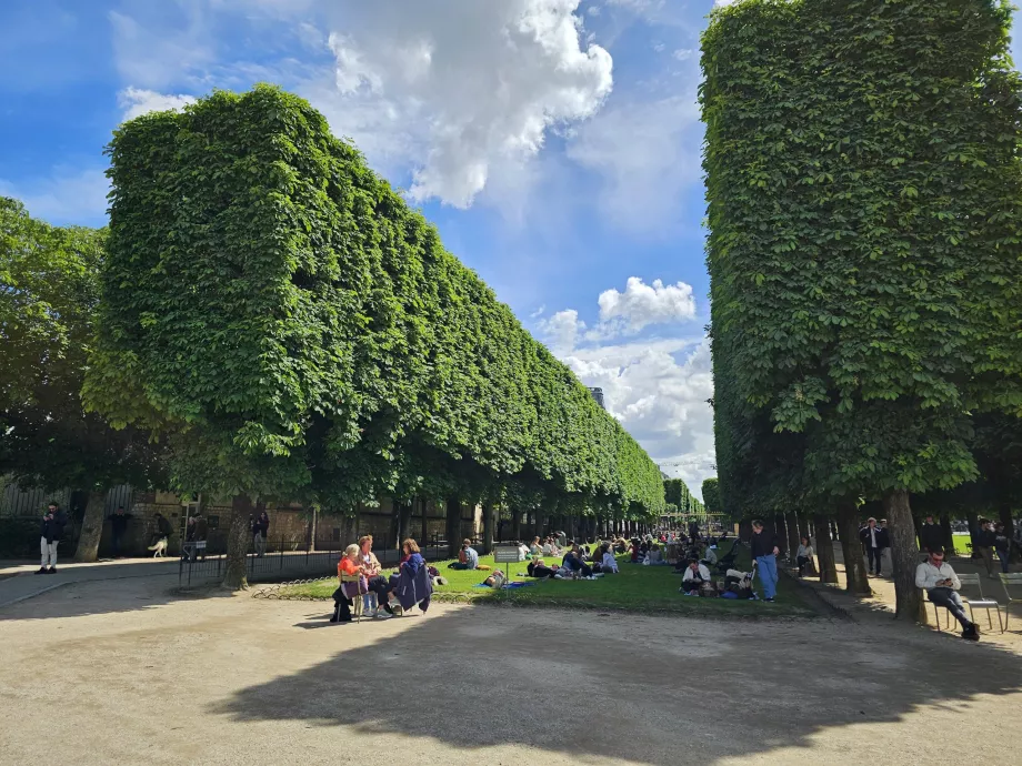 Jardines de Luxemburgo