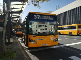 Autobuses públicos de Funchal (urbanos)