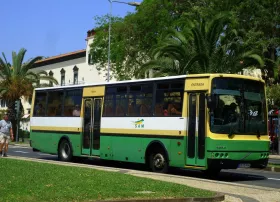 Autobuses SAM