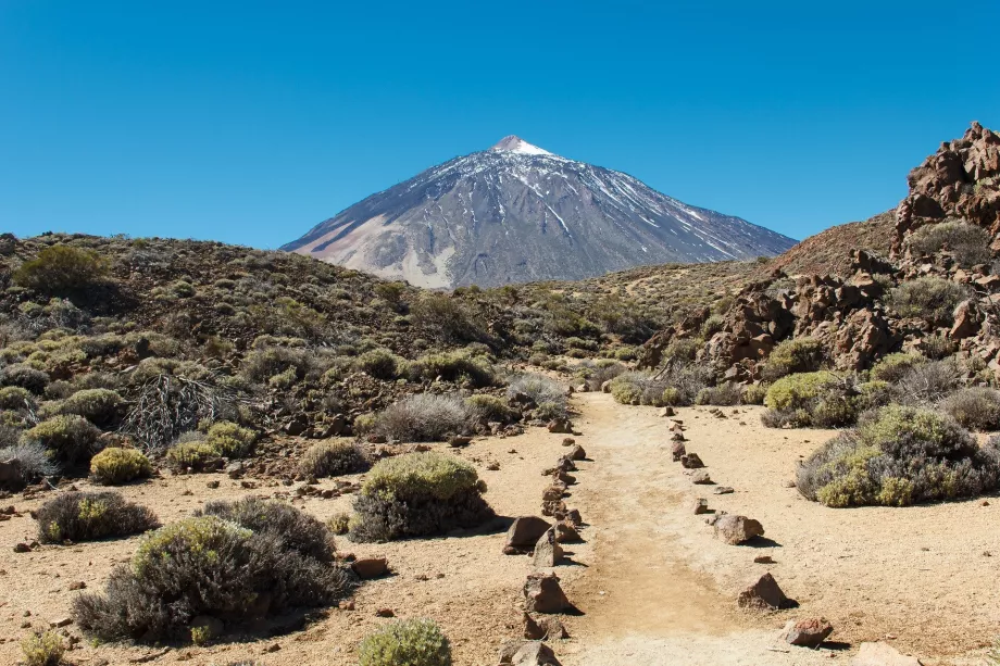 El camino al Pico del Teide