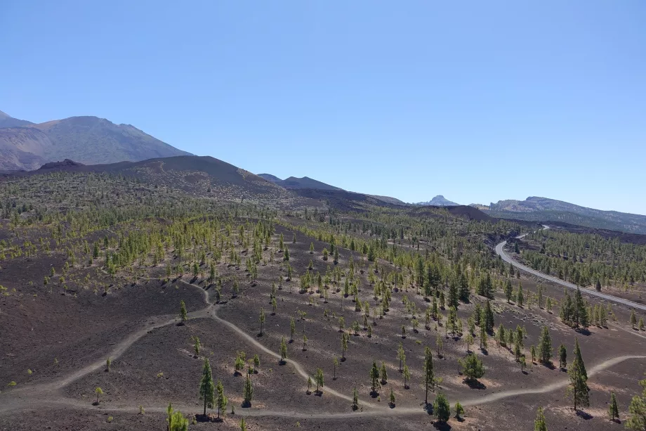 Paisaje del PN del Teide