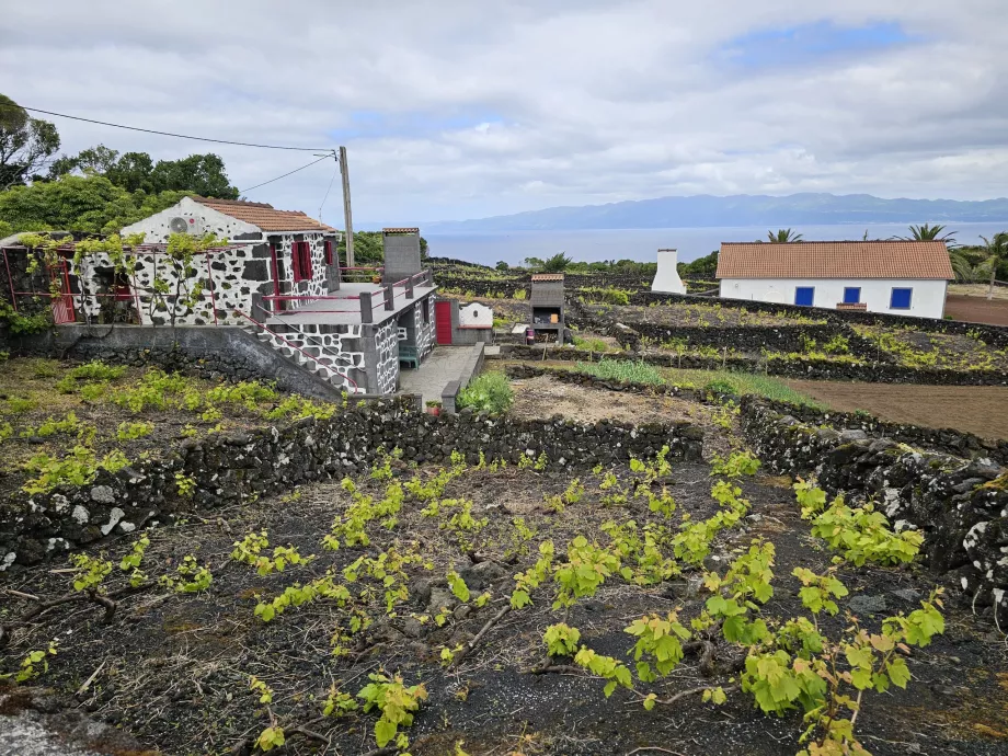 Viñedos de Lava, Ribeirinha