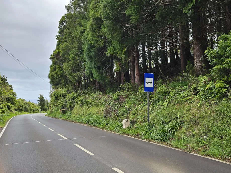 Parada de autobús, Isla de Pico