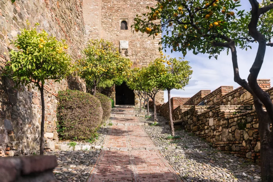 Alcazaba y naranjos