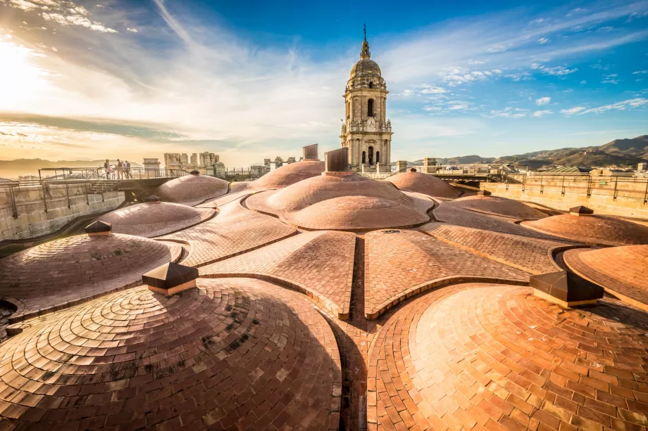 Visita al tejado de la catedral