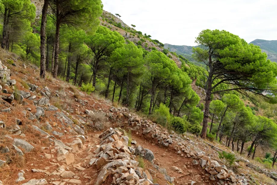 Sierra de Mijas