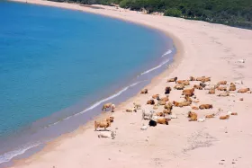 Playa Erbaju