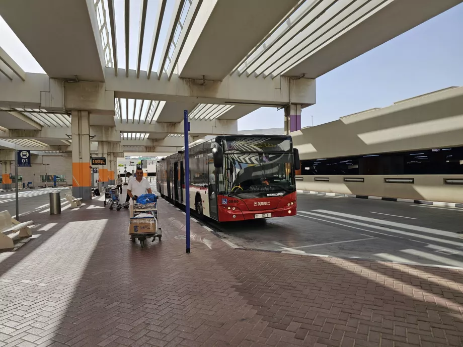 Parada de autobús, Terminal 3