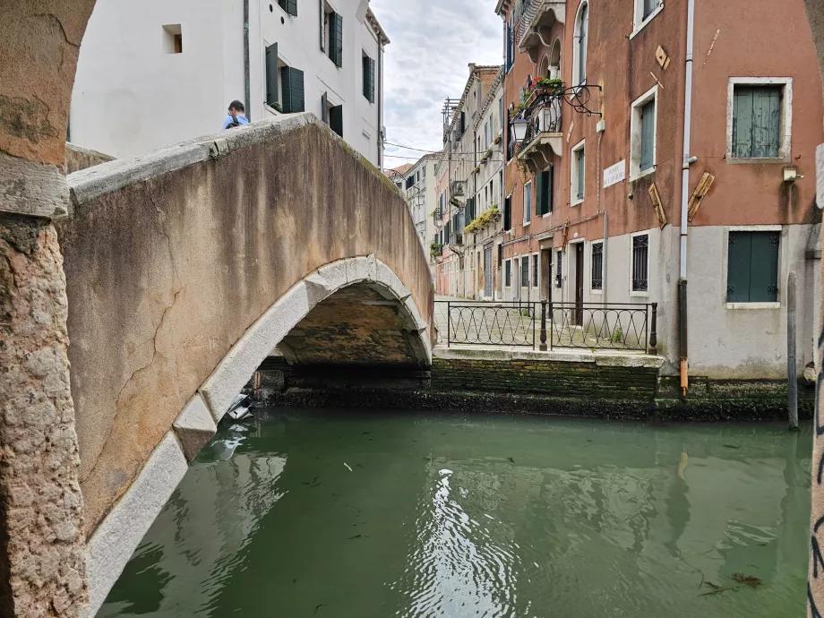 La Venecia por descubrir