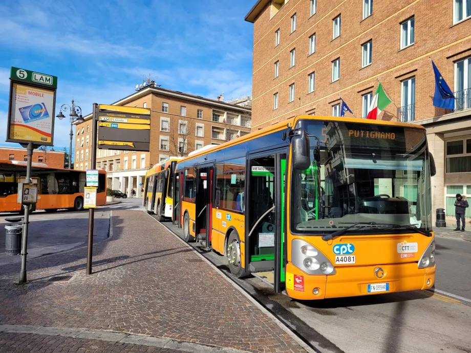 Autobuses Pisa