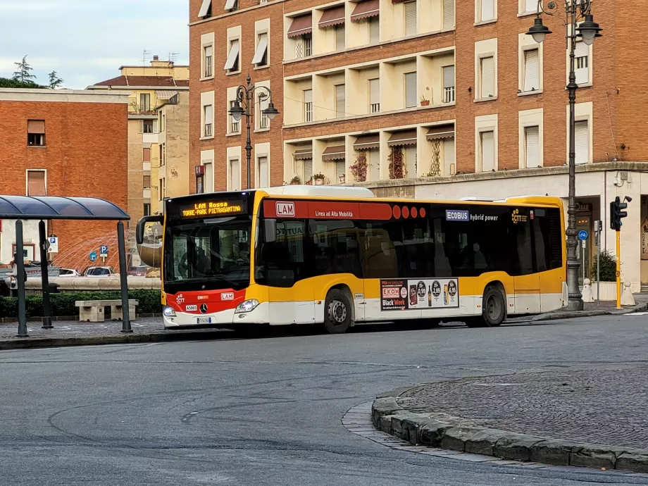 Líneas de autobús LAM Rossa