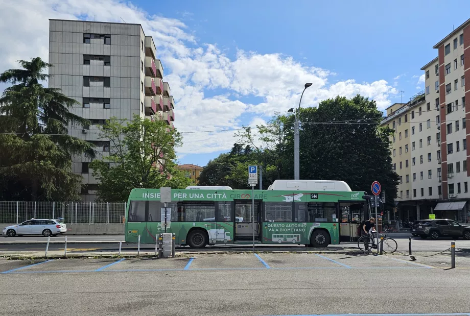 Parada 944, Ospedale Maggiore