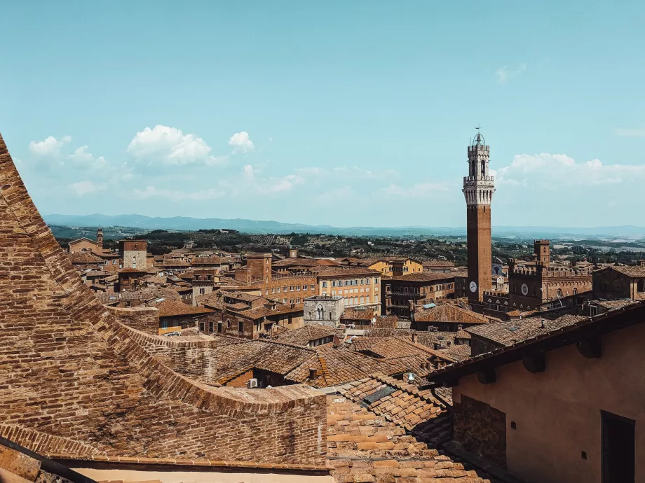 Vista desde la catedral