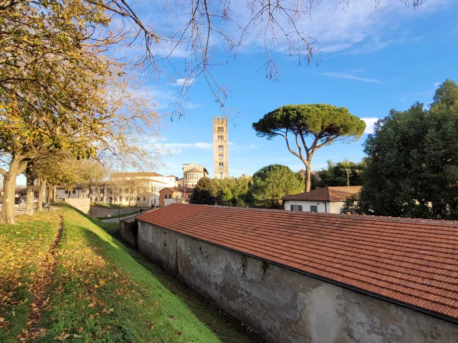 Vista de la iglesia de San Frediano desde las murallas