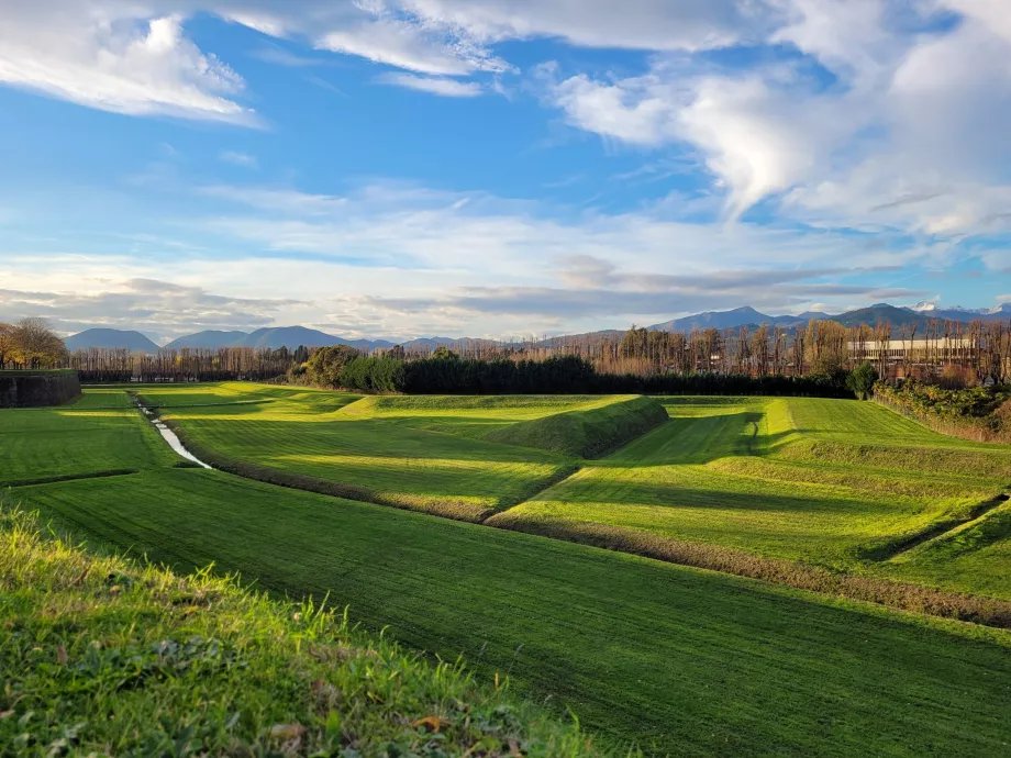 Vista de los Alpes Apuanos