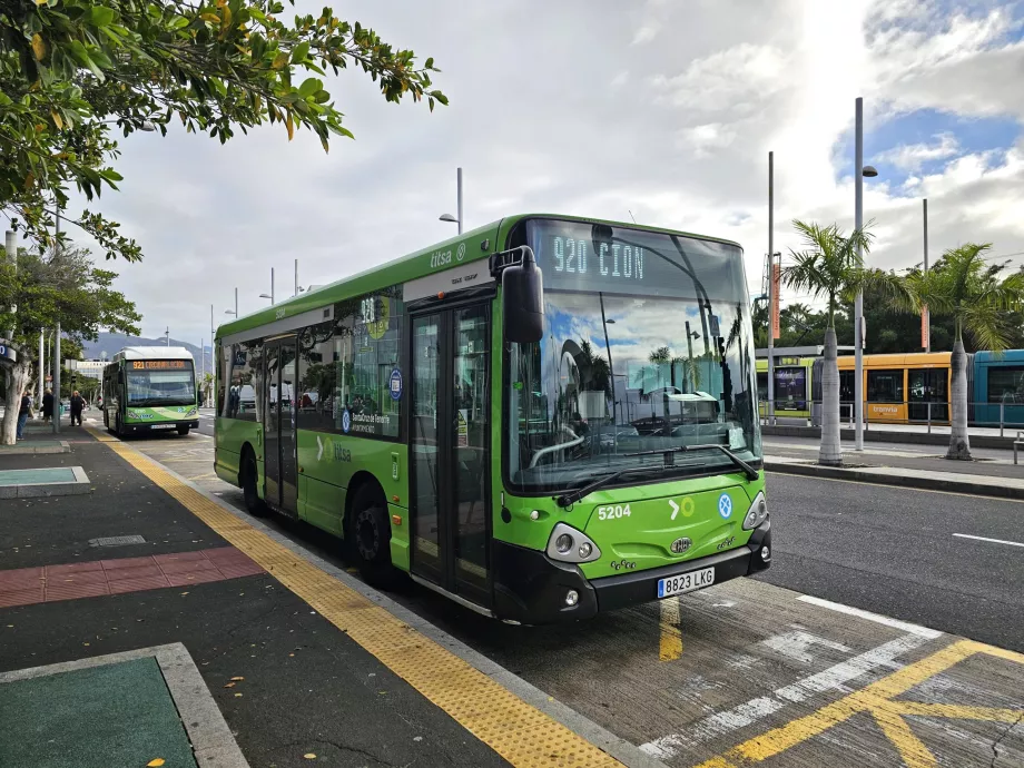 Autobús en Santa Cruz