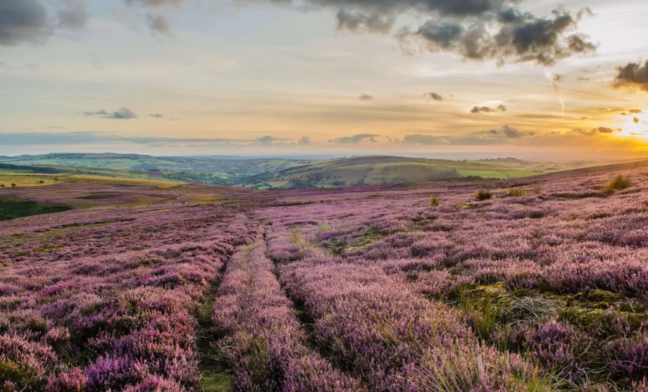 PN del Peak District