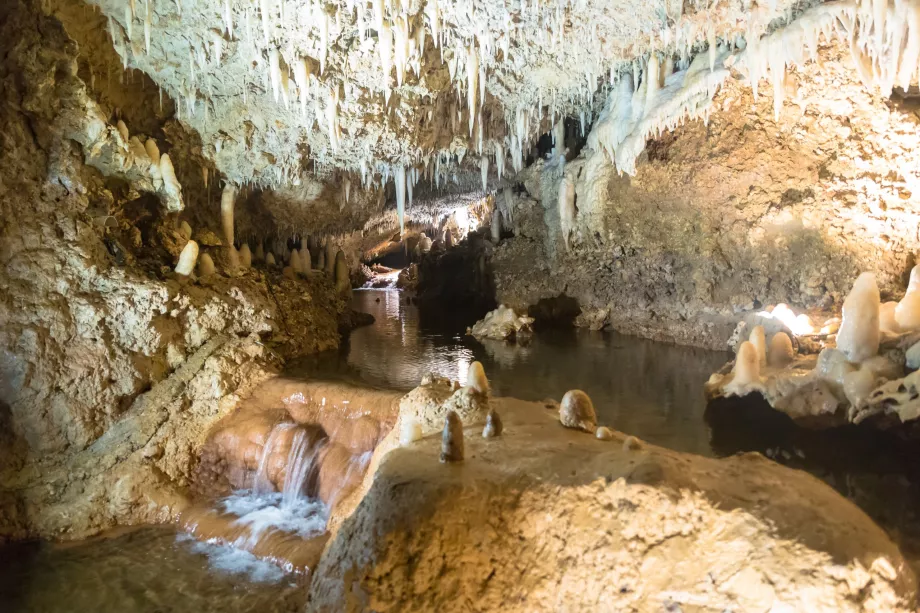 Cueva de Harisson