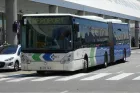Autobús EMT Palma