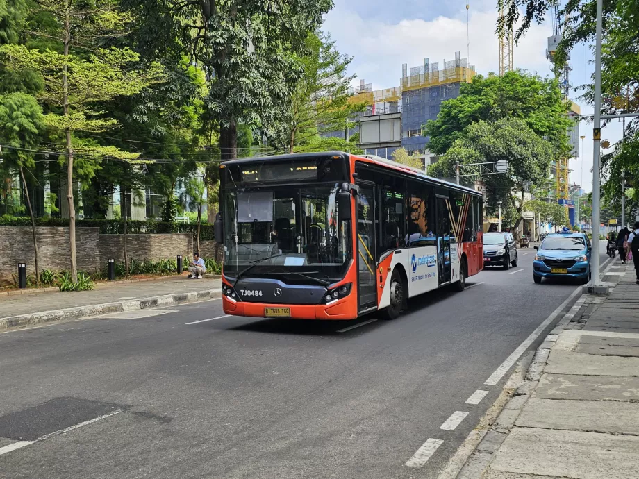 Autobuses rojos y blancos más lentos