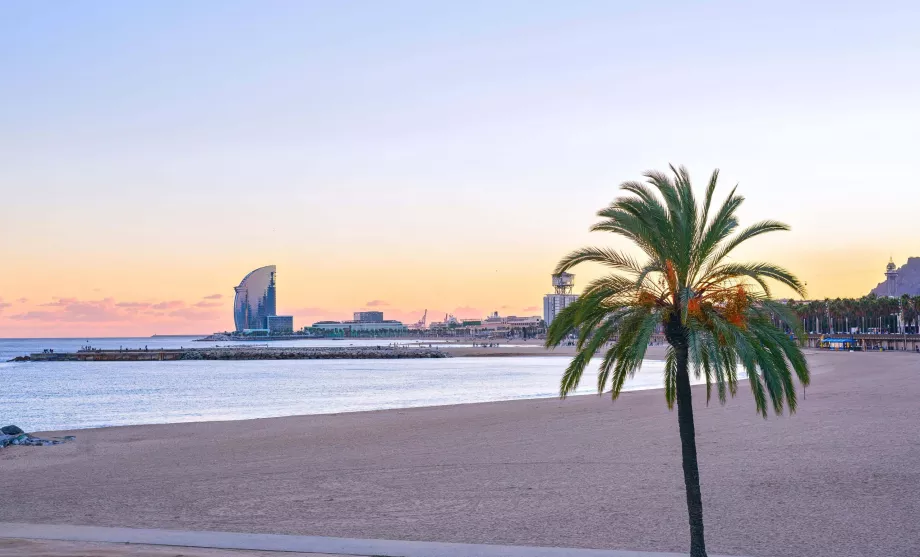 La Barceloneta