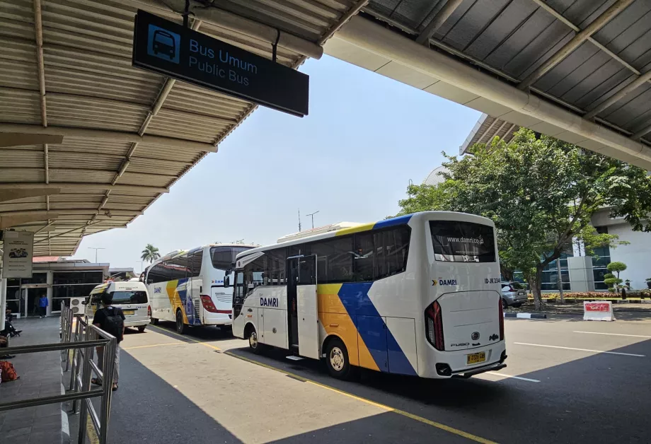 Parada de autobús, Terminal 1