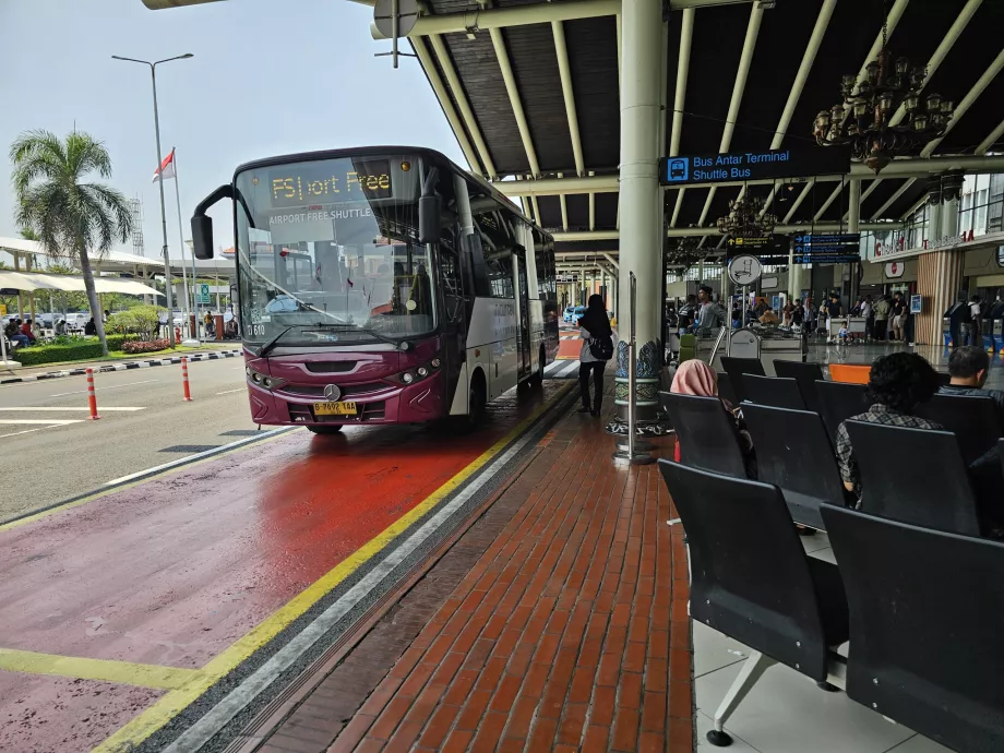 Autobús lanzadera