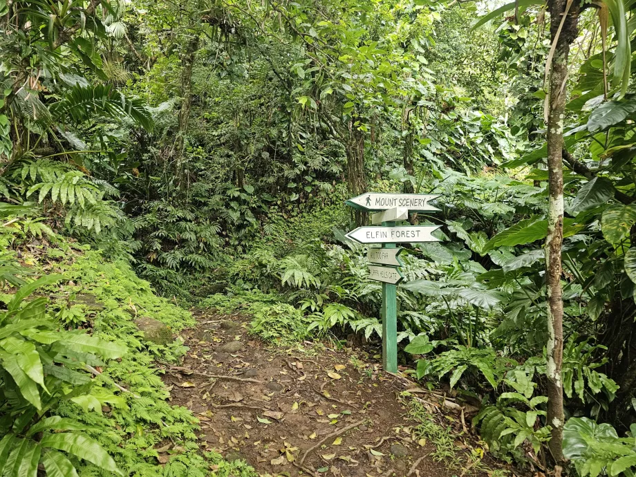 Rutas de senderismo en Saba